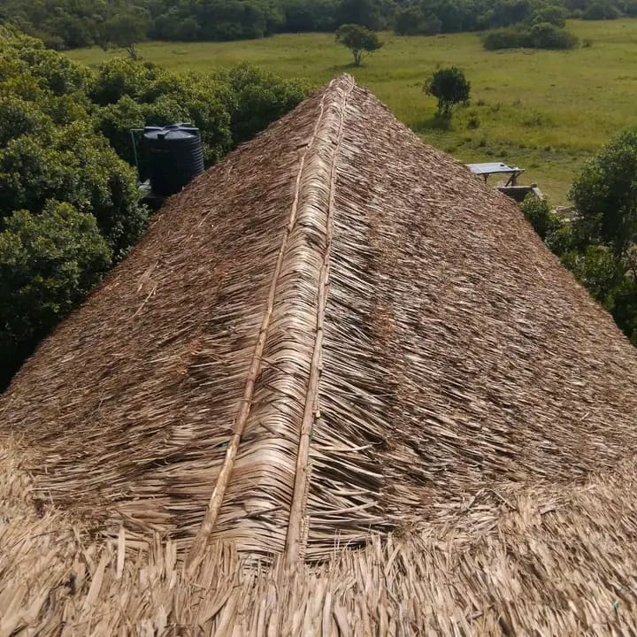 Before and after makuti roof renovation
