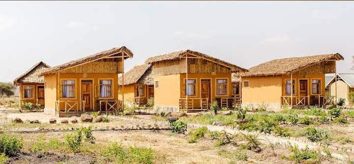 Traditional makuti roof construction process