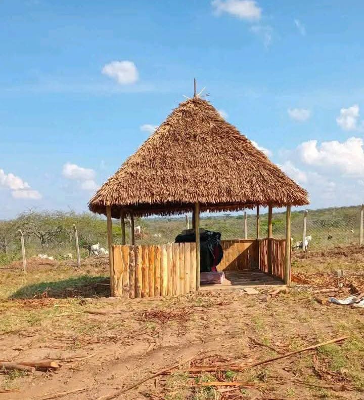 Before and after makuti roof renovation