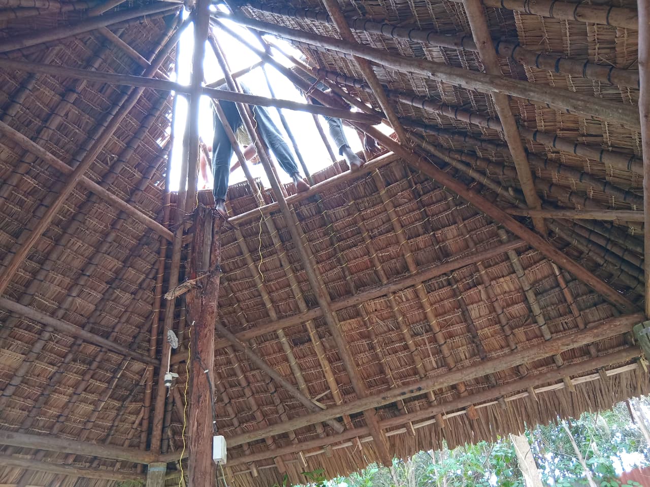 Makuti roof detail