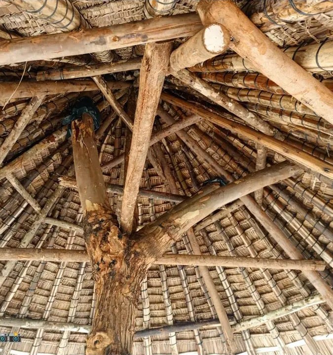 Interior view makuti roof