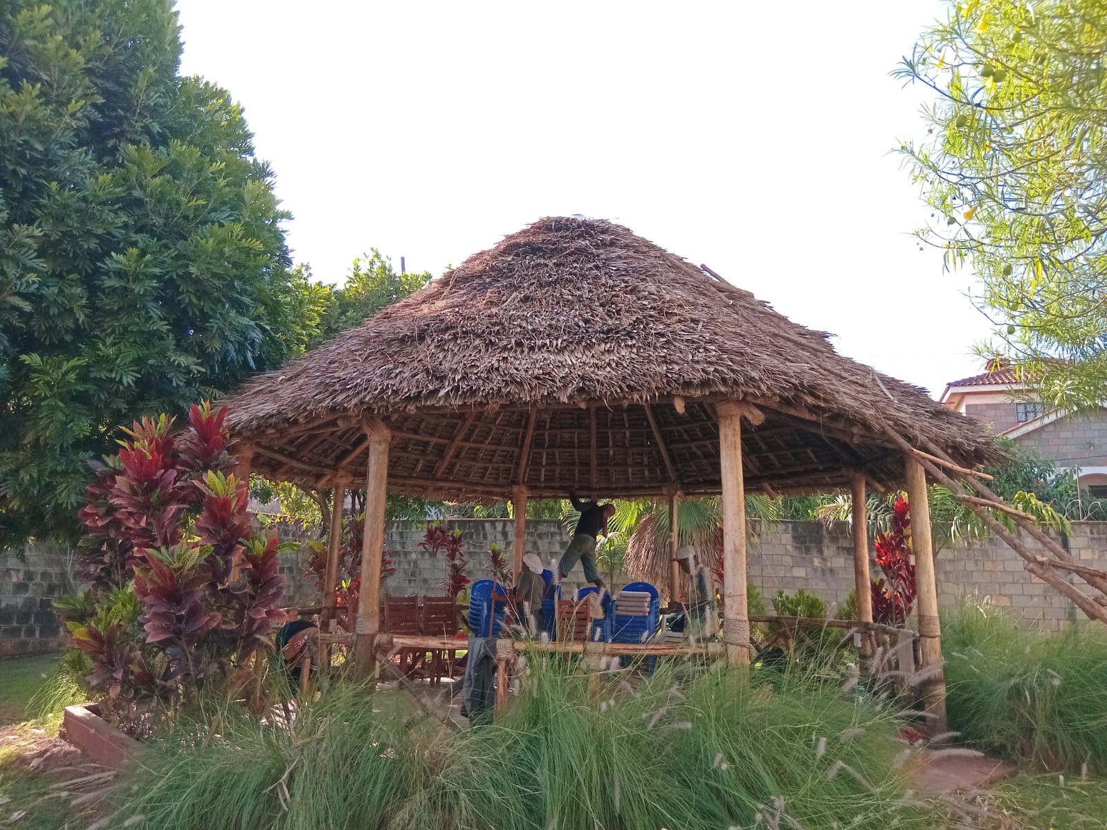 Renovated house with makuti roof